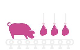 Varken en varkensvlees producten op een transportband