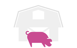 Boerderij met een varken ervoor