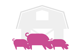 Boerderij met drie varkens ervoor